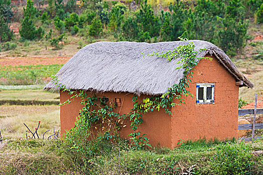 乡村,房子,塔那那利佛,马达加斯加