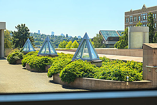 风景,窗户,靠近,入口,画廊,华盛顿大学,校园,西雅图,美国
