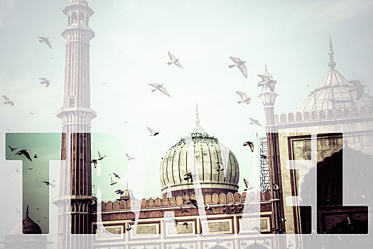 文字,旅行,上方,著名,贾玛清真寺,老德里,印度