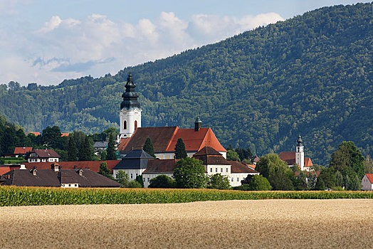 教堂,多瑙河,区域,上奥地利州,奥地利,欧洲