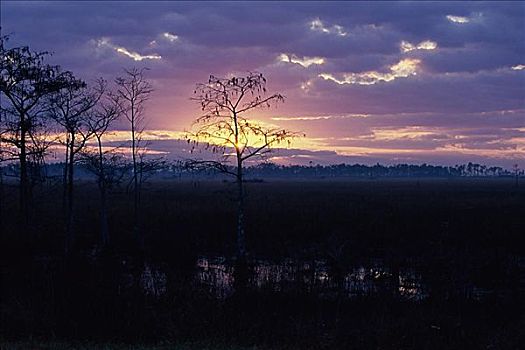 大沼泽地国家公园