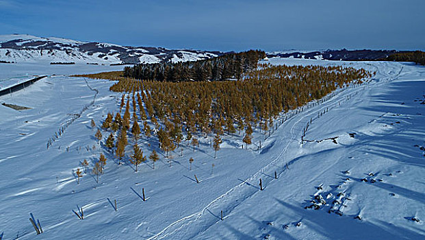 东天山雪景美如画