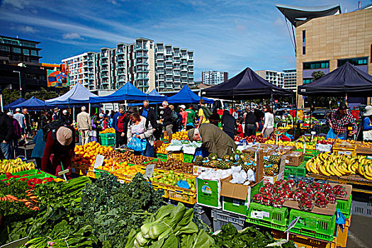 果蔬,市场,惠灵顿,北岛,新西兰
