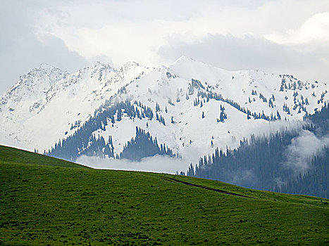 云雾天山