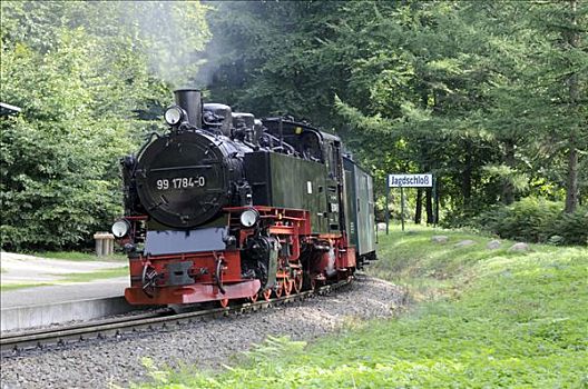 蒸汽机车,引擎,列车,吕根岛,波罗的海,梅克伦堡前波莫瑞州,德国,欧洲
