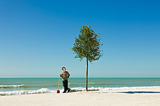 男孩,站立,铲,旁侧,树,海滩