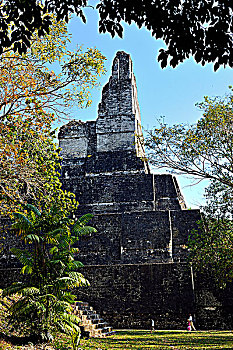 危地马拉,蒂卡尔国家公园,一号神庙,美洲虎金字塔