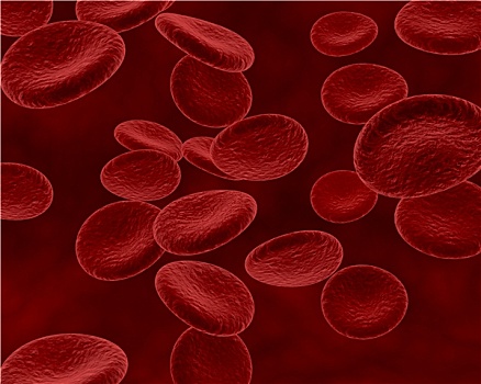 血细胞,细菌