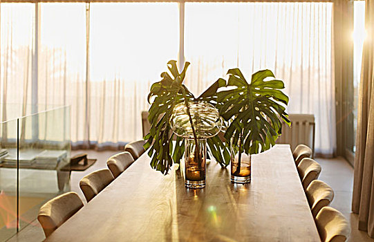 热带植物,叶子,花瓶,餐桌