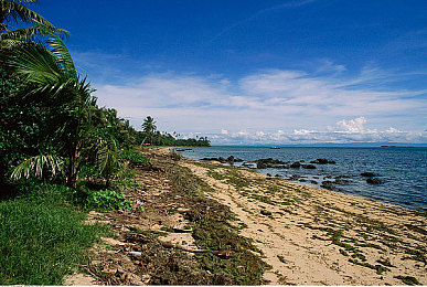 斐济群岛图片