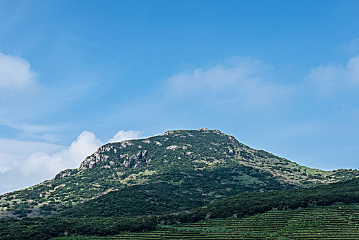 大嵛山岛,高山草甸