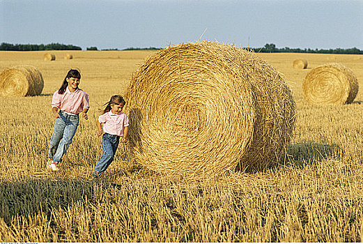 女孩,玩耍,稻草捆,曼尼托巴,加拿大