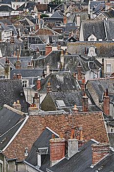 俯视图,传统,独栋别墅,屋顶,昂布瓦斯,卢瓦尔河谷,法国