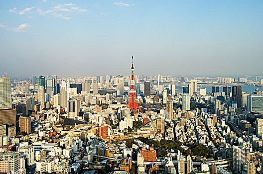 东京塔,风景,山,东京,日本