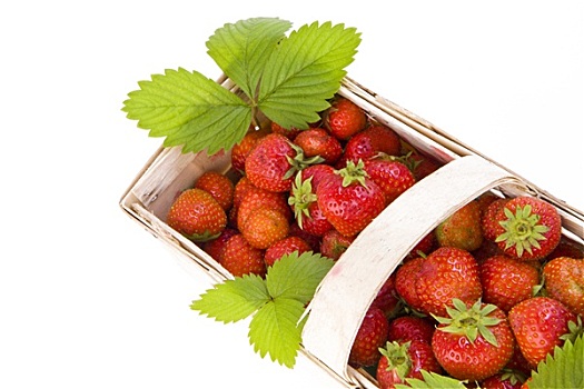 草莓,篮子