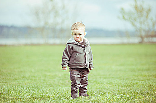 头像,小男孩,站立,草场
