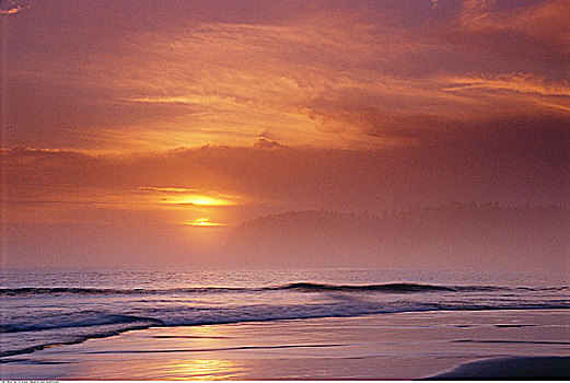 日落,靠近,勇敢,西海岸小径,环太平洋国家公园