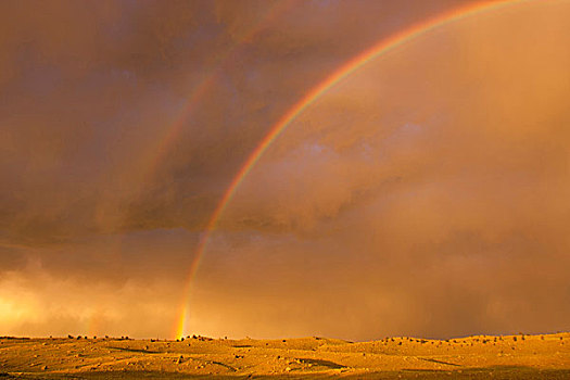 怀俄明,一对,彩虹,雷雨天气,上方,鼠尾草,刷,山