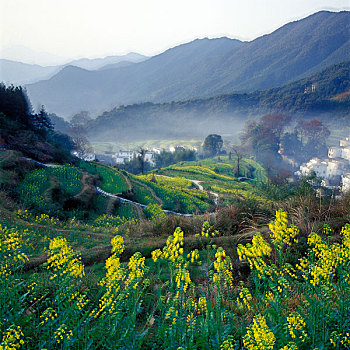 江岭梯田风光