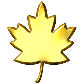 金色,加拿大,叶子