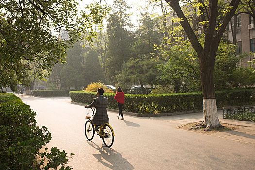 北京大学校园环境