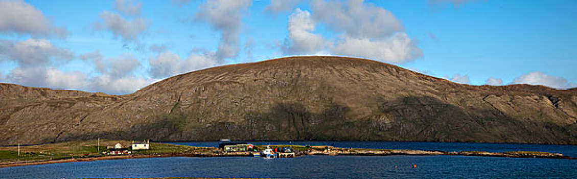 房子,船,海岸,设得兰群岛,苏格兰
