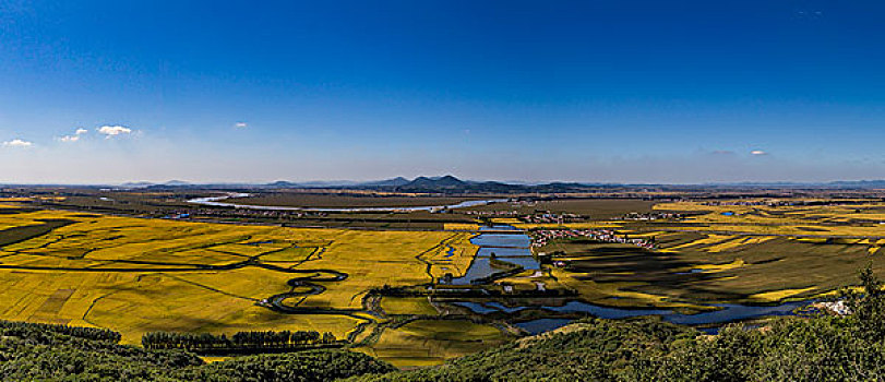 俯拍金色田野