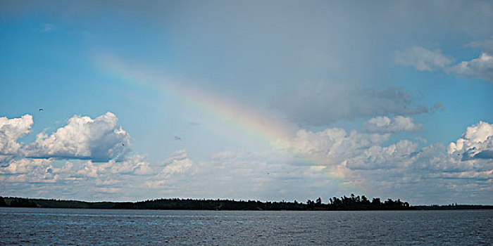 彩虹,上方,湖,木头,安大略省,加拿大