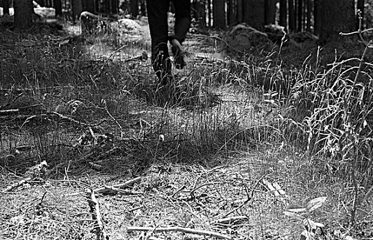 腿,男人,走,离开,树林,草,前景,上奥地利州,五月,2009年