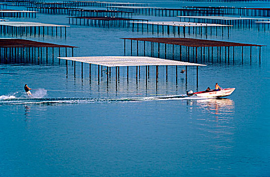 滑水,牡蛎养殖场,郎格多克,法国