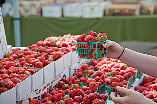 有机,草莓,出售,城市,农贸市场,星期二,下午,洛杉矶,加利福尼亚,美国