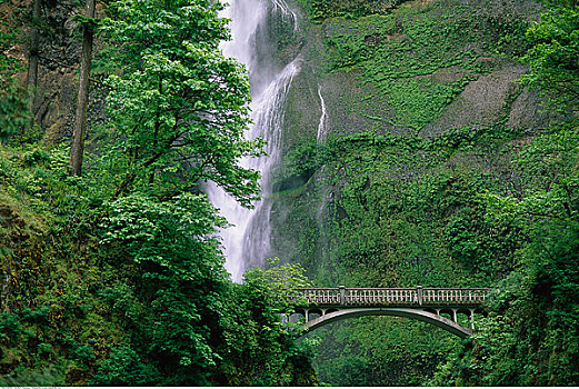 桥,马尔特诺马瀑布,哥伦比亚河峡谷,俄勒冈,美国