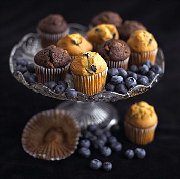 迷你,巧克力,蓝莓松饼