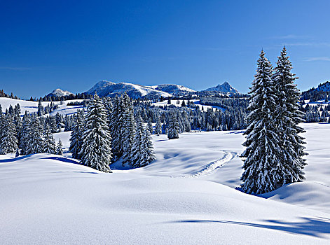 雪,冬季风景,阿尔卑斯山,靠近,巴特辛德朗,巴伐利亚,德国,欧洲