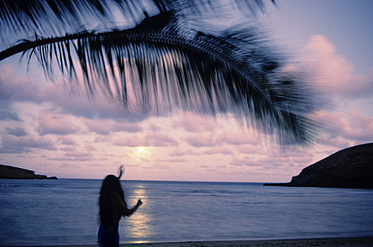夏威夷,瓦胡岛,月出,恐龙湾,草裙舞,棕榈叶,展示,动感