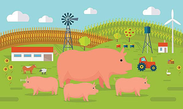 农场,矢量,插画,公寓,设计,猪,站立,风景,拖拉机,母牛,地点,背景,有机农牧,概念,传统农耕,现代,生态