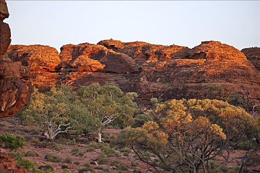 澳大利亚,北领地州,早晨,阳光,色调,红岩,国王峡谷,圆顶,反射,差别,风化,石头