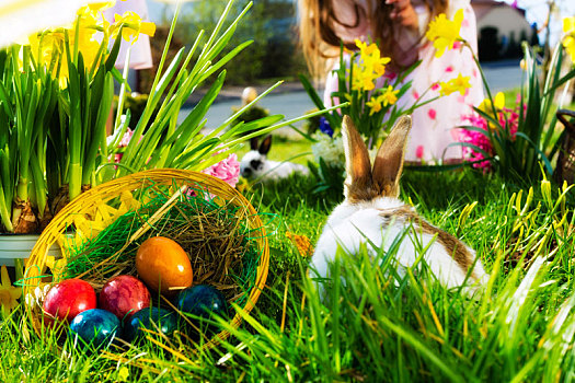 复活节兔子,牧场,篮子,蛋