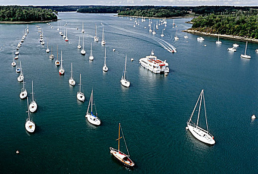 小,帆船,停泊,排,河,靠近,坎佩尔,菲尼斯泰尔,布列塔尼半岛,法国,欧洲