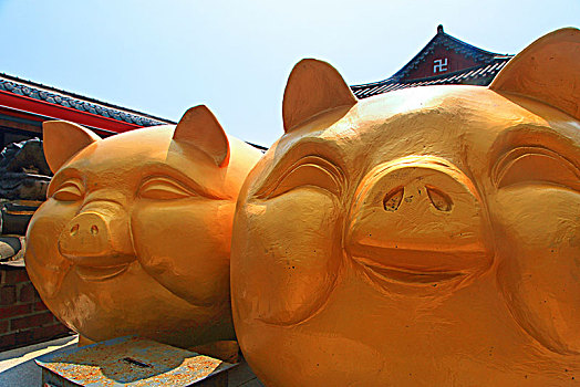 韩国,釜山,庙宇,金色,猪