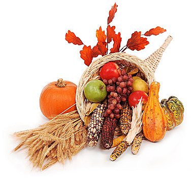 许多,秋天,丰收,叶子,小麦,南瓜,玉米,苹果,梨,葡萄