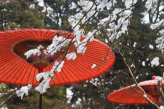 日本,京都,寺庙,金亭,世界遗产,红色,伞