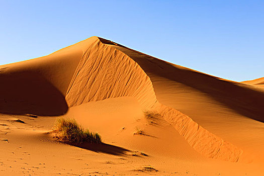 荒芜,沙丘,却比沙丘,摩洛哥