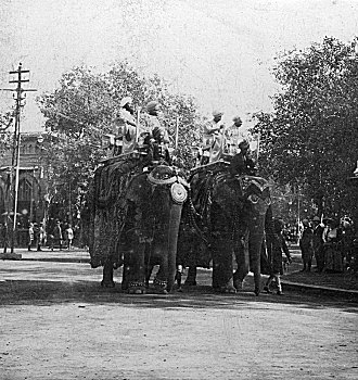 公主,骑,大象,队列,德里,印度,20世纪,艺术家,儿子