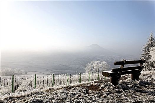 霜冻,风景,区域,莱茵兰普法尔茨州,德国
