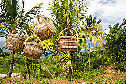 传统,篮子,出售,多米尼克,西印度群岛,加勒比