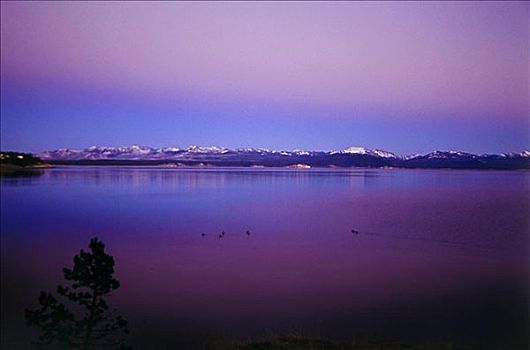 黄石湖,黄石国家公园,怀俄明