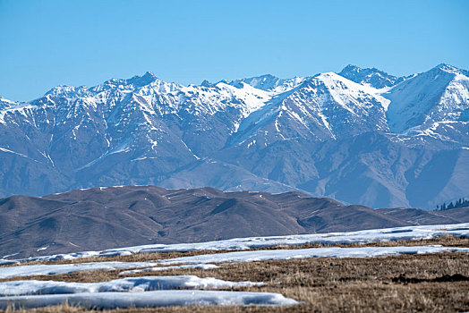 天山草原的雪