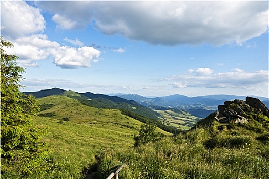 喀尔巴阡山脉,波兰,绿色,山