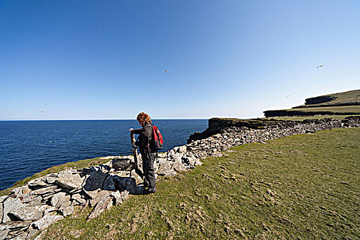 女人,站立,石台,海岸,苏格兰
